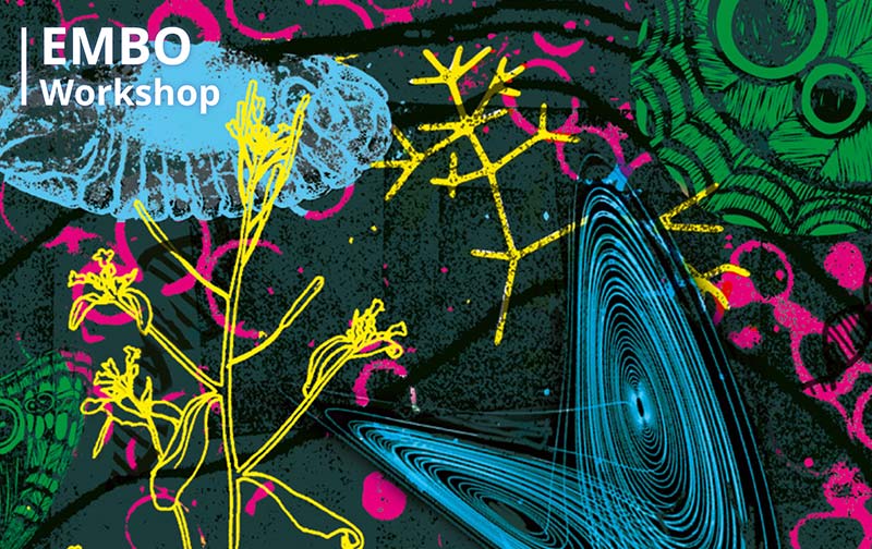 2023 EMBO workshops