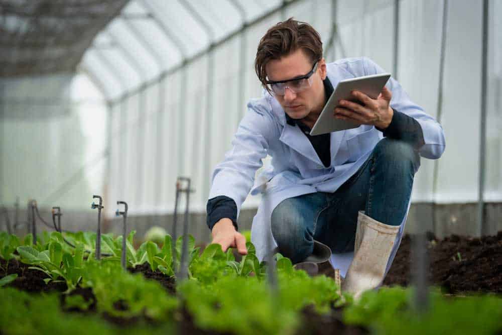 Formedium range of growth media used for Agricultural research
