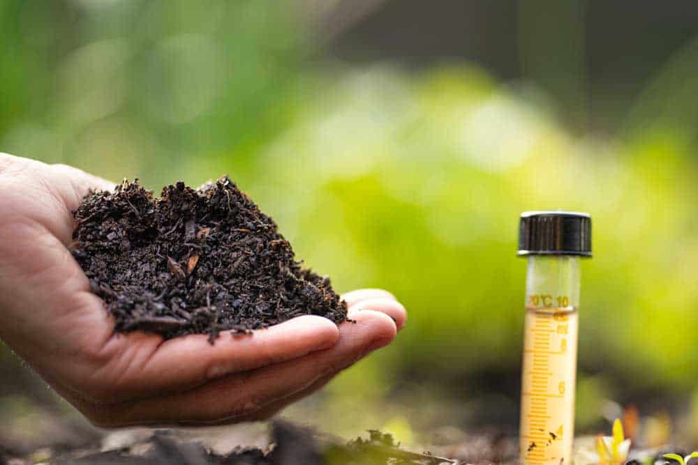 Formedium range of dehydrated culture media used for Agricultural research