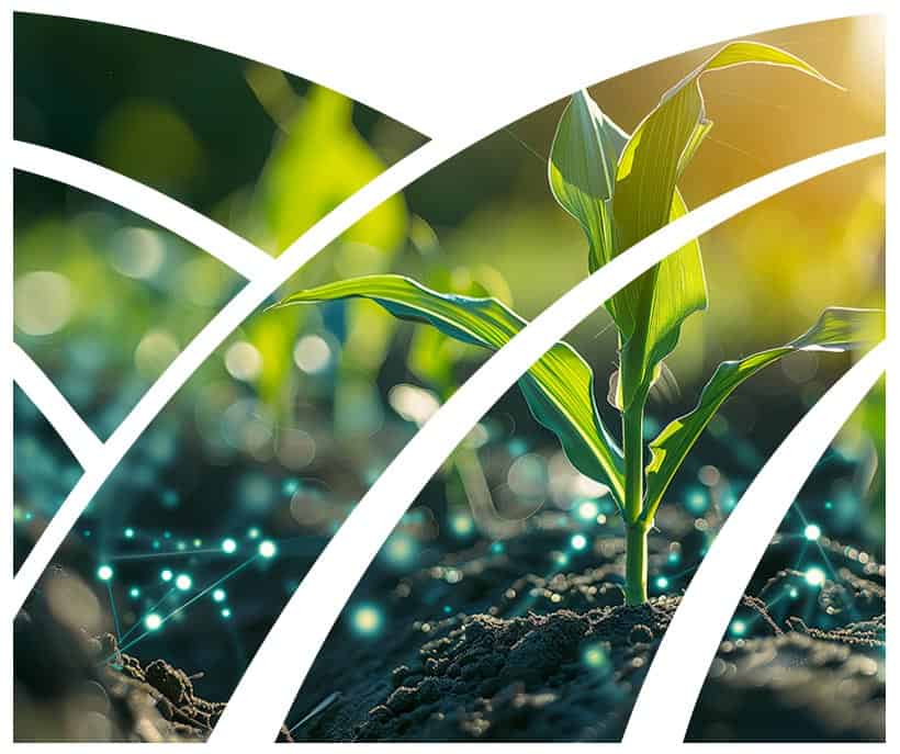 Formedium ForAgricultural research logo