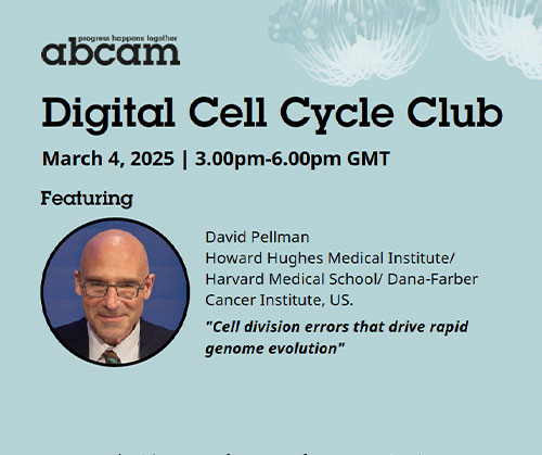 Digital Cell Cycle Club